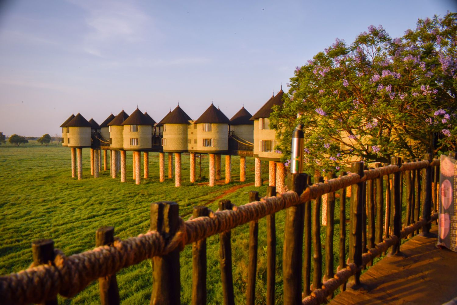 Taita Hills Wildlife Sanctuary Kenya — forested sanctuary with Salt Lick Safari Lodge